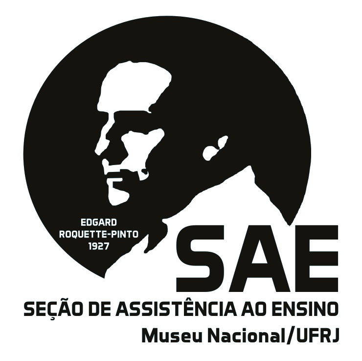 Nova logo SAE _ 2016